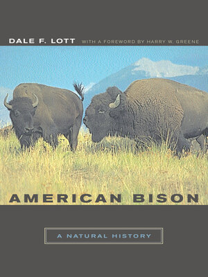 cover image of American Bison